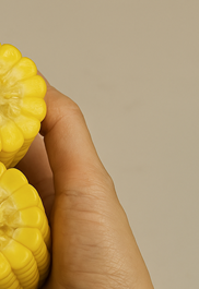 초당옥수수 삶는법