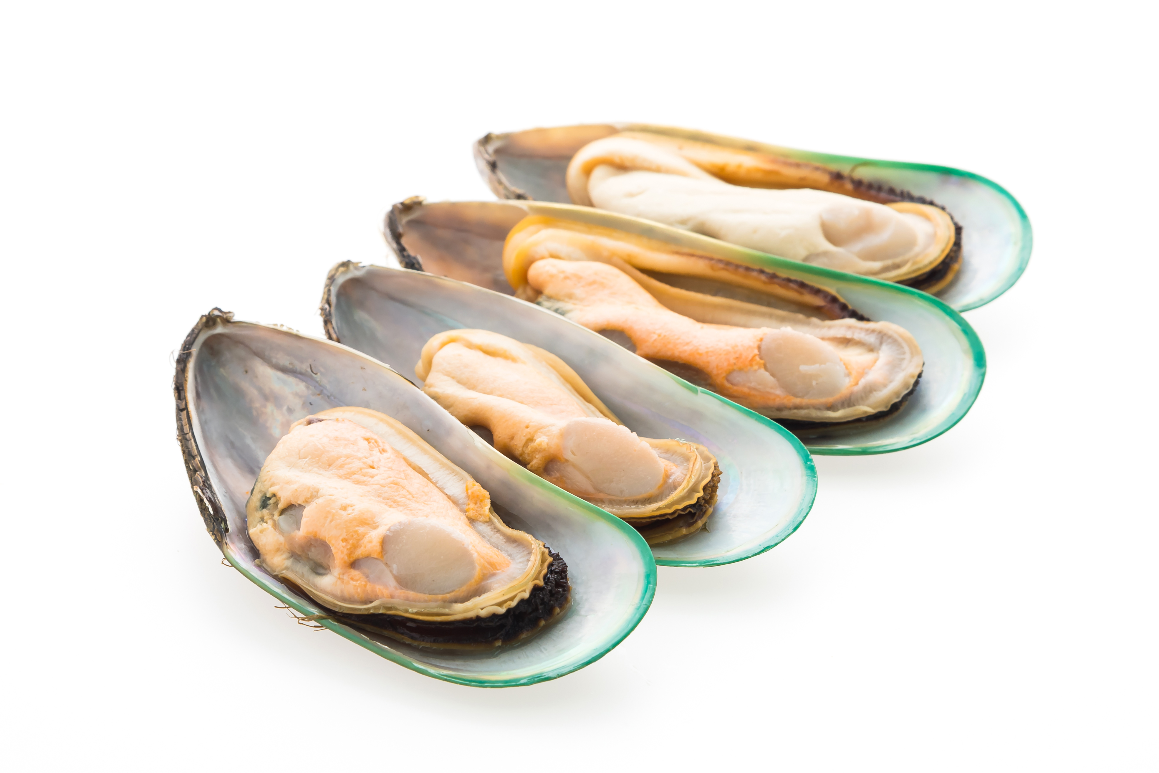 바다에서 채취를 한 홍합 4개를 껍질을 깐 후에 깨끗하게 세척한 후, 하얀 바닥에 나란히 놓아 두고 찍은 사진