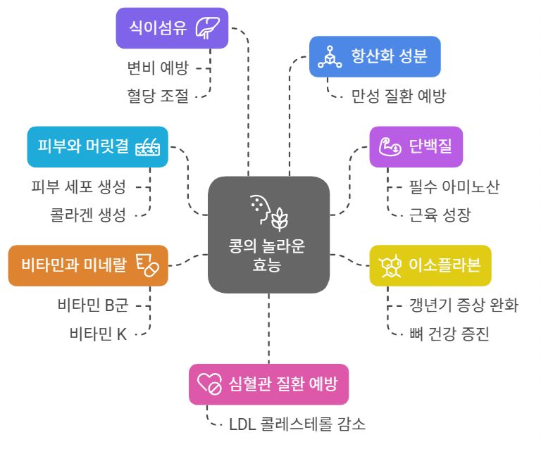 콩의 놀라운 효능