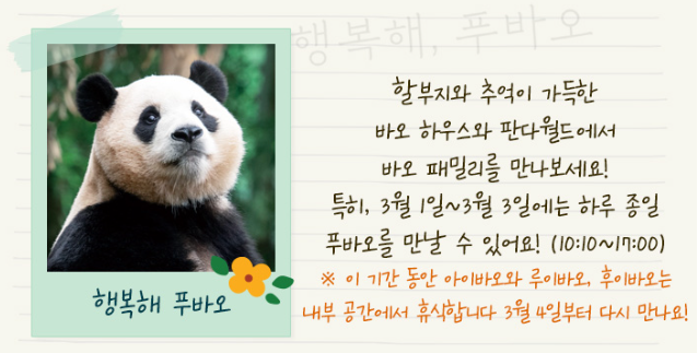 푸바오1