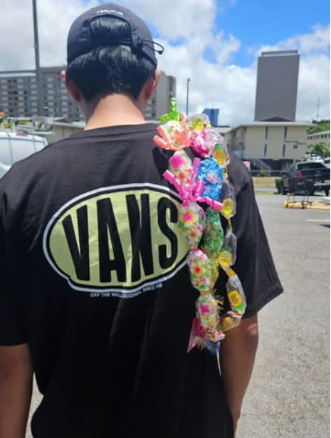 🌟 2025 임영웅 콘서트 완전정복 가이드 (일정, 예매방법 등)