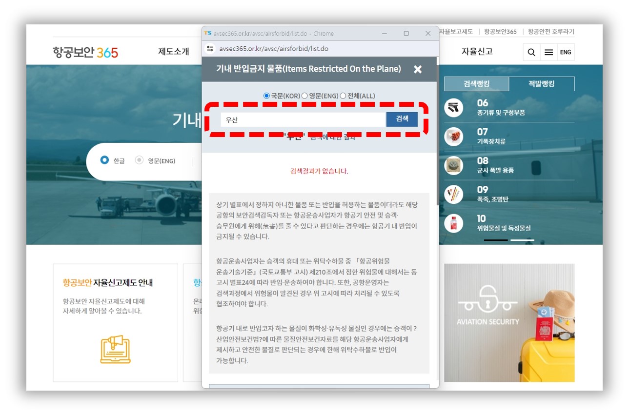 기내 반입 금지 물품 검색