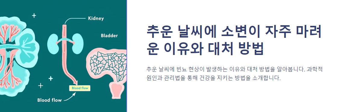 추운 날씨에 소변이 자주 마려운 이유와 대처 방법