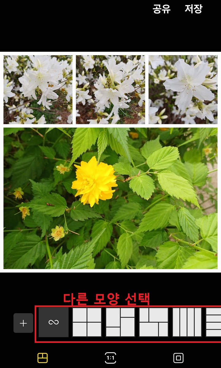 합치기된 사진 보임