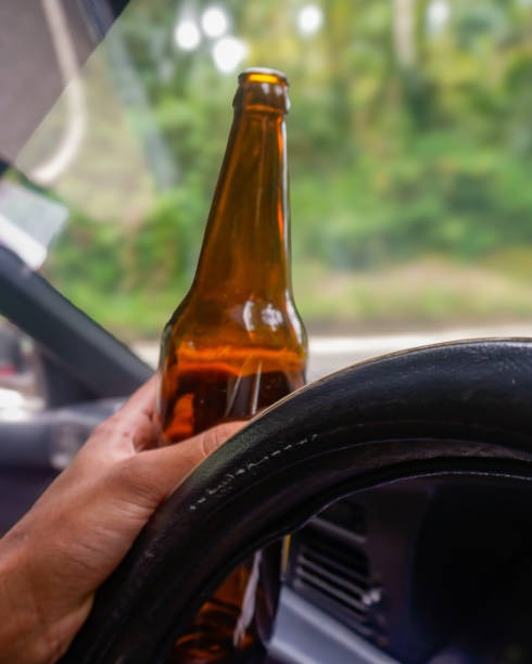 815-광복절-특사-명단-확인-방법