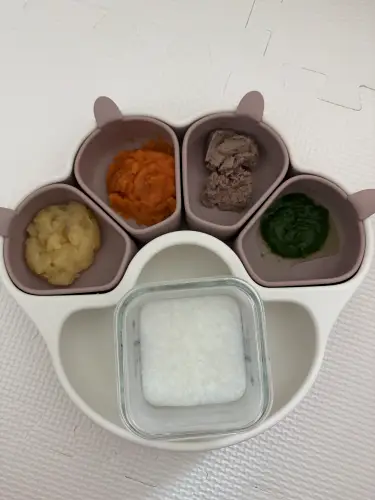 식단변경 전 초기이유식