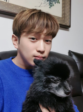 안성훈