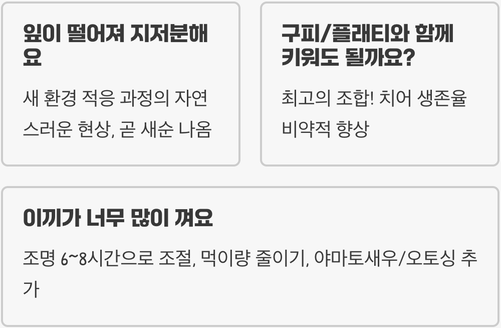 수초 어항 입문, 검정말이 최고의 선택인 이유 (폭풍 성장)