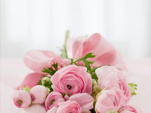 물꽂이 삽목 성공률높이기 깨끗한물 교체주기 빛관리 요령_4