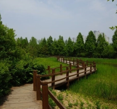 물향기수목원 입장료&middot;운영시간 총정리 &amp;#44; 근처 맛집