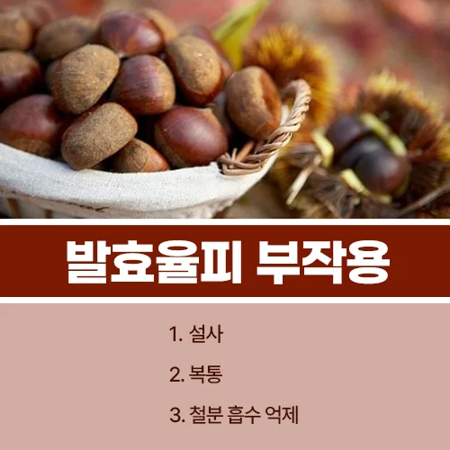 발효율피 부작용
