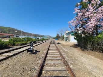 교외선 재개통 노선도 시간표 개통일 예매 알아보기 철도정보_18