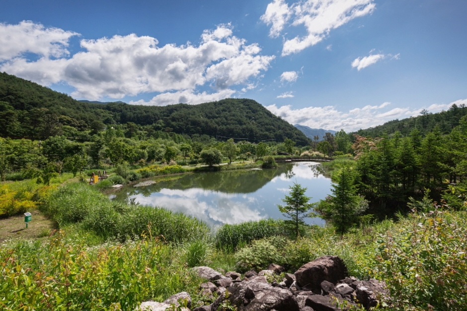 봉화 가볼만한곳 베스트10