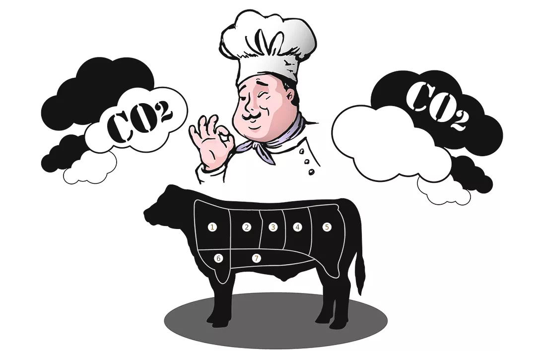 바이오매스 에너지 원리 완벽정리 친환경 미래의 핵심 기술