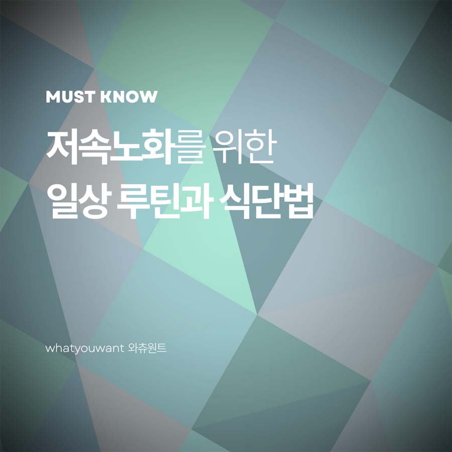 저속노화를 위한 일상 루틴과 식단