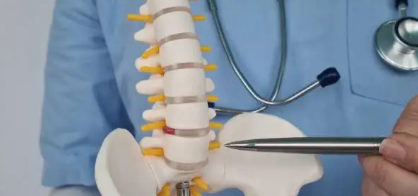 퇴행성 질환에 대한 지역 기반 예방&middot;관리 정책 비교: 한국과 주요국의 전략 분석