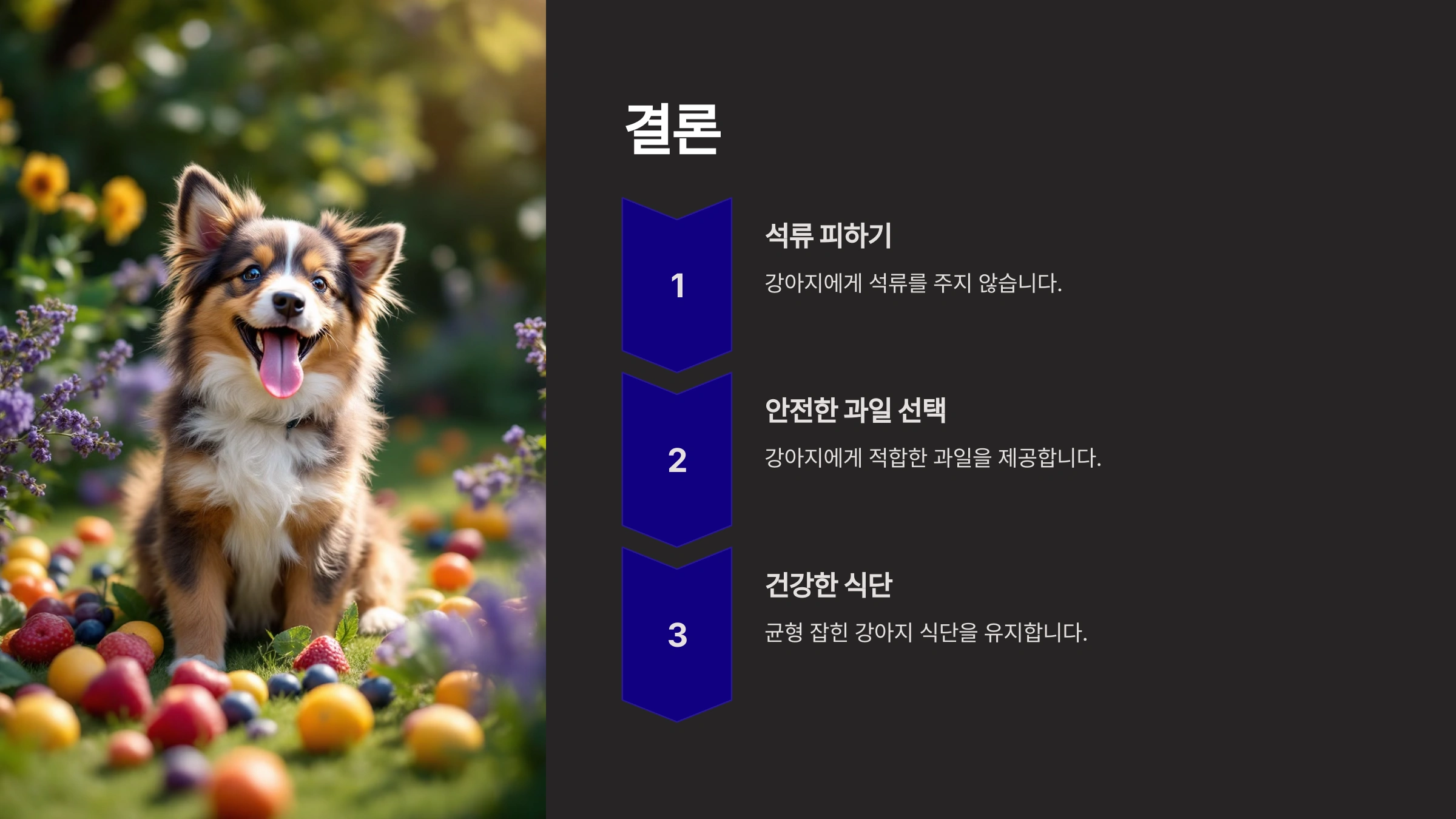 강아지가 석류를 먹으면 나타날 수 있는 위험