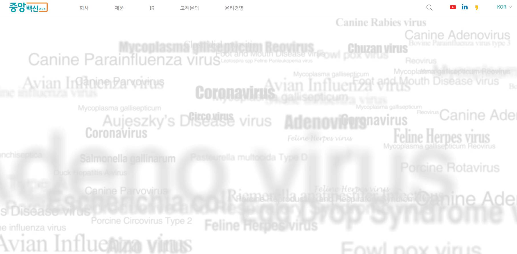 럼피스킨병 관련주 중앙백신