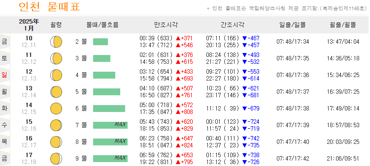 물때표 보는 방법(바다타임)