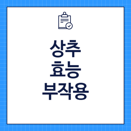 상추 효능 부작용