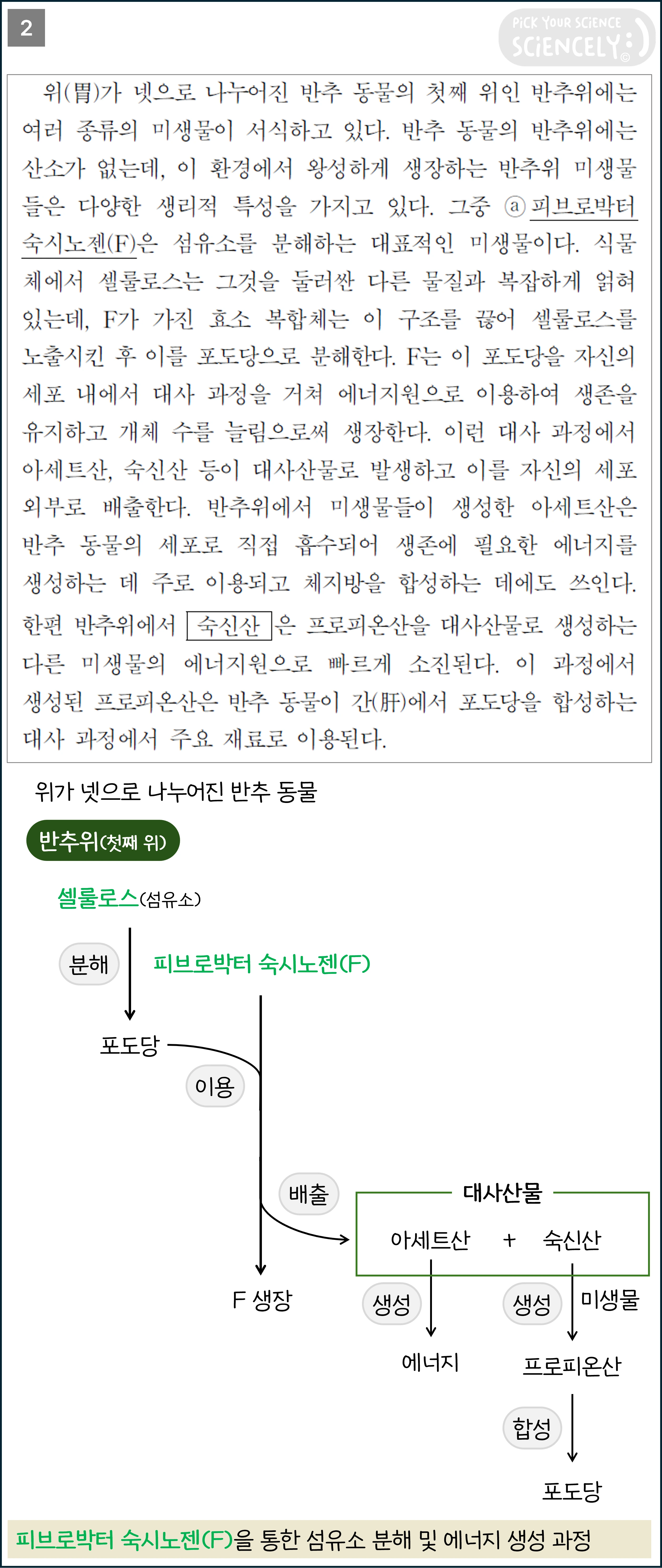 국어 독서 과학기술, 국어 비문학 과학기술, 17학년도 수능 Q33-36, 반추동물의 탄수화물 분해, 2문단