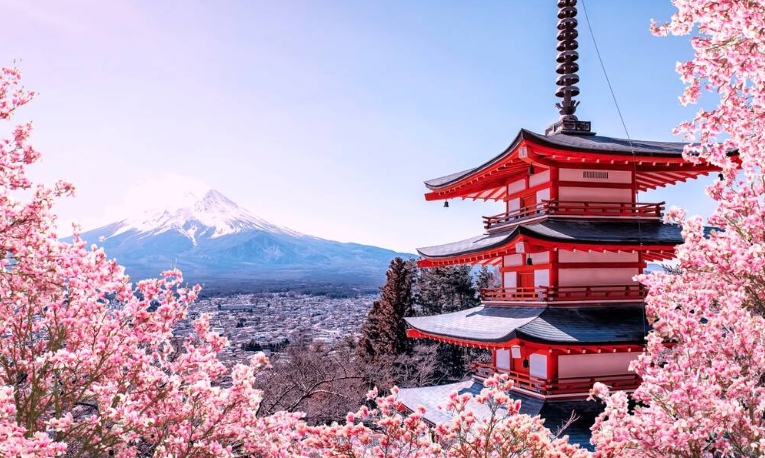 일본에서 벗꽃이 가장 아름다운 교토