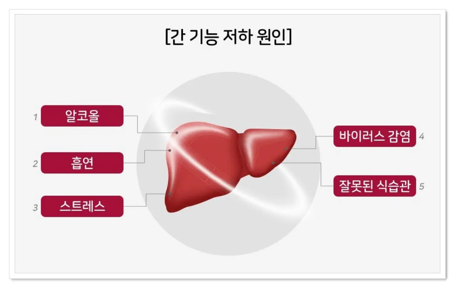 락토핏 간케어 간 기능 저하 원인