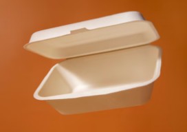 일회용_포장_플라스틱_용기