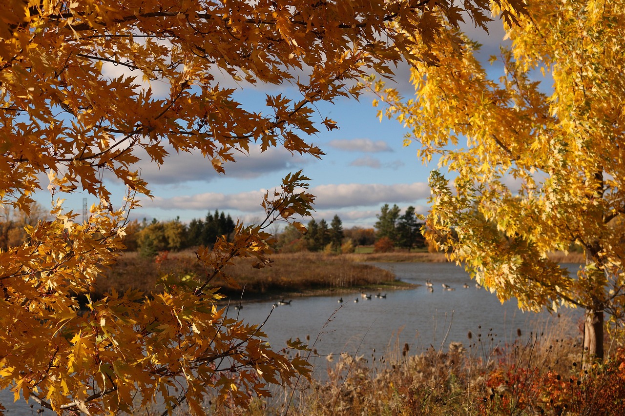 지금 떠나야 할 감성 여행지