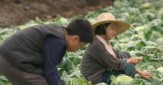 폭싹 속았수다 - 양관식(박보검)&amp;#44; 최고의 신랑감