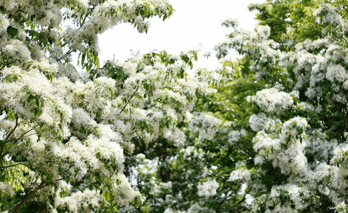 을숙도-생태공원