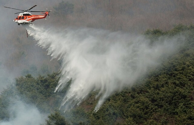 산불 내면 어떤 처벌 받을까? 형벌부터 손해배상까지 반드시 알아야 할 책임 정리
