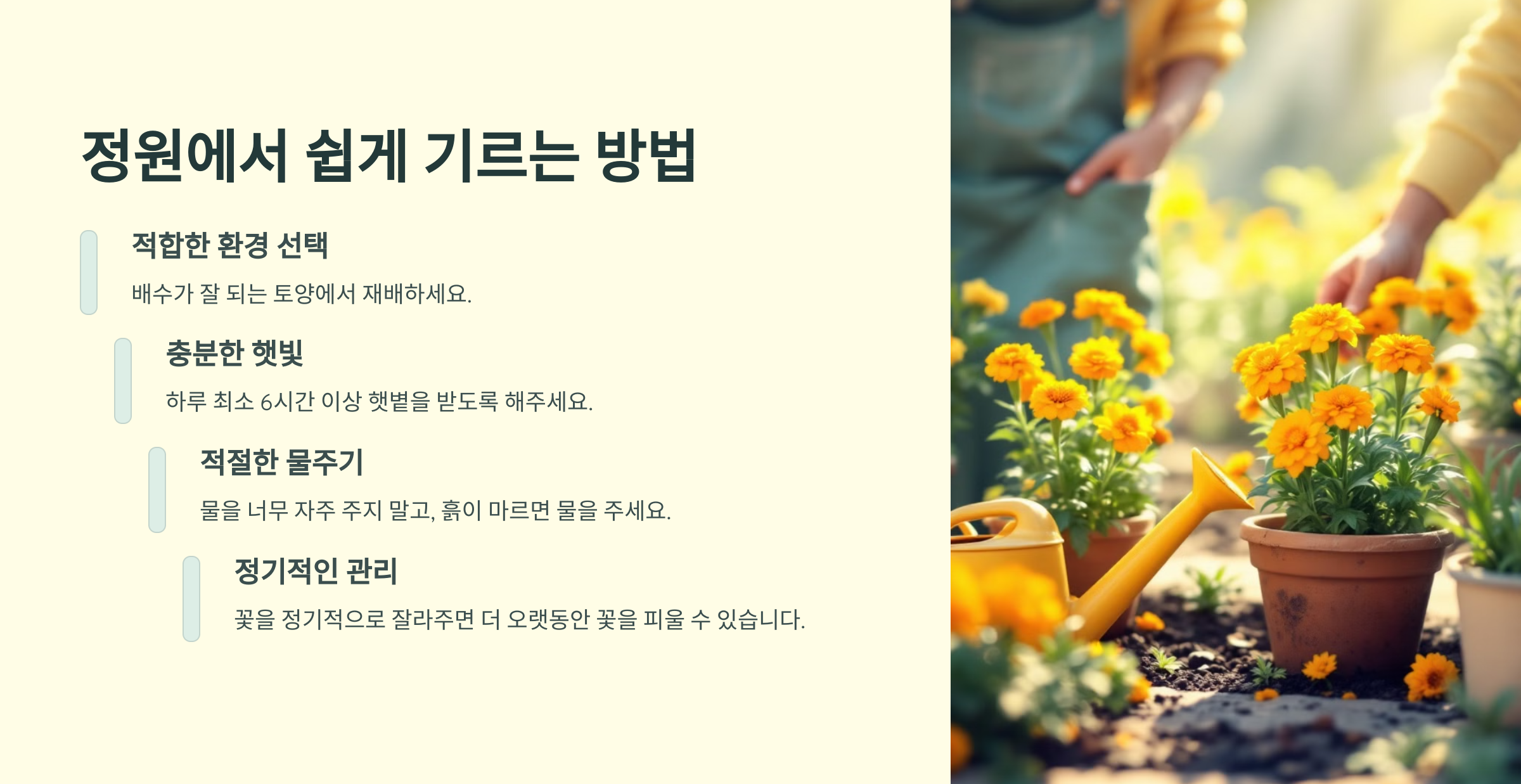 메리골드 잉카 꽃