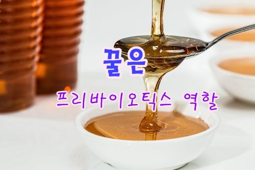 꿀은프로바이오틱스