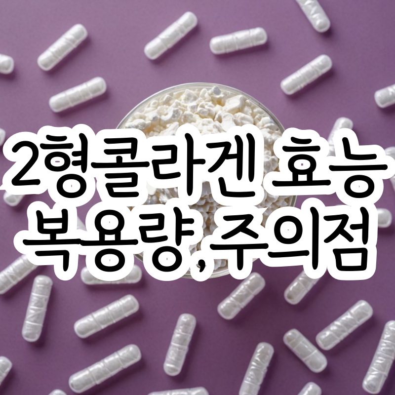 2형 콜라겐 효능, 가수분해콜라겐 차이