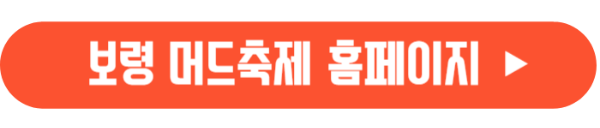 보령머드축제-홈페이지-바로가기