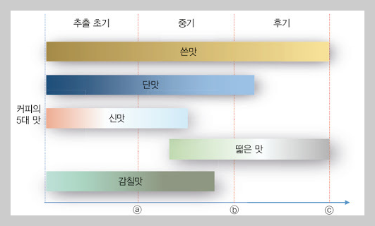 커피추출 맛