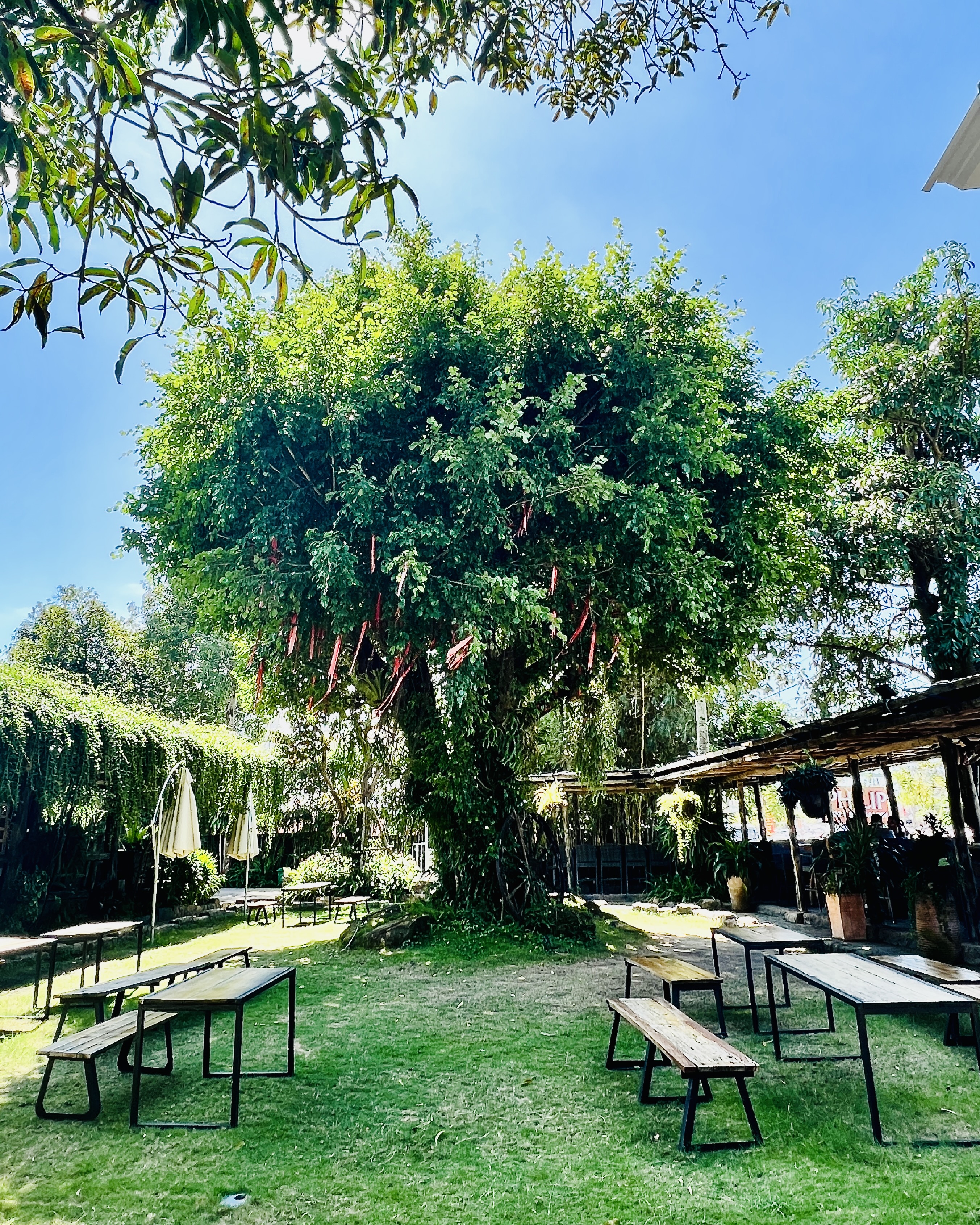 Anba cafe