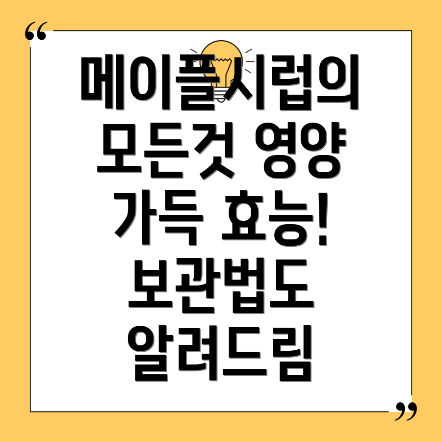 메이플시럽