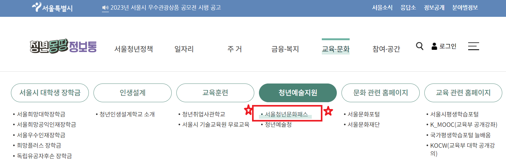 서울형 청년문화패스