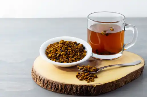 차가버섯 효능 및 부작용 섭취시 주의점