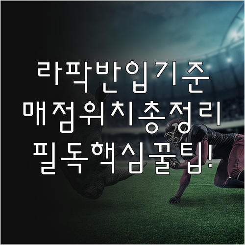 라팍 경기장 음식 반입 허용 기준과 ..