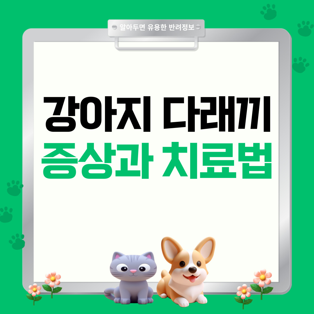 강아지 눈 다래끼, 왜 생길까? 증상과 치료법 총정리