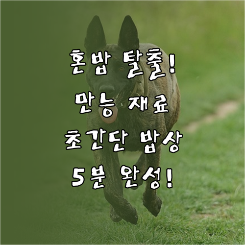 혼밥 탈출! 만능 재료로 즐기는 초간..