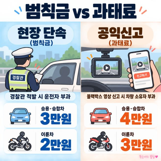 좌회전 깜빡이 방향지시등 범칙금