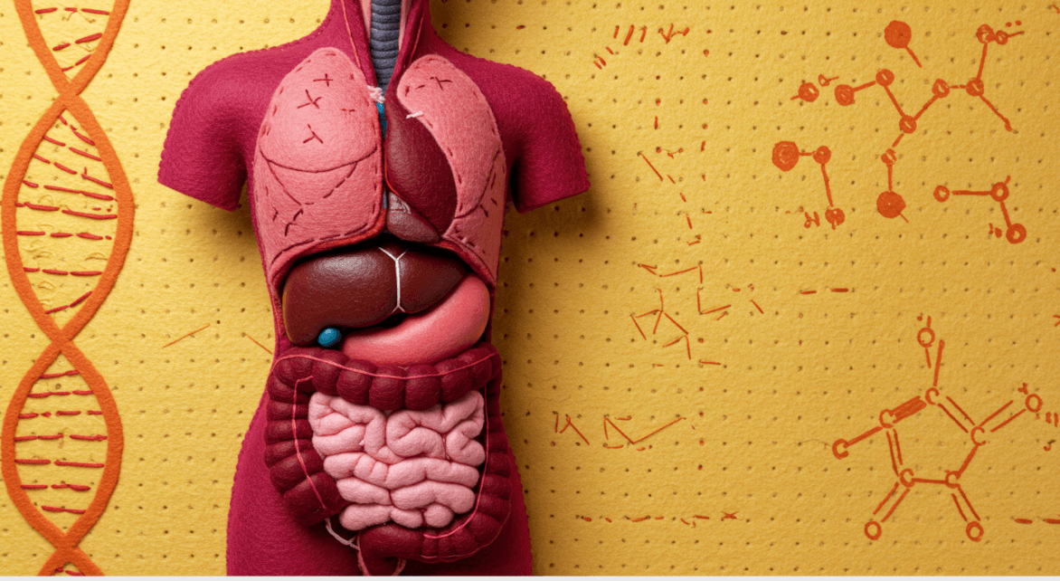 소화기관 문제별 증상과 해결법