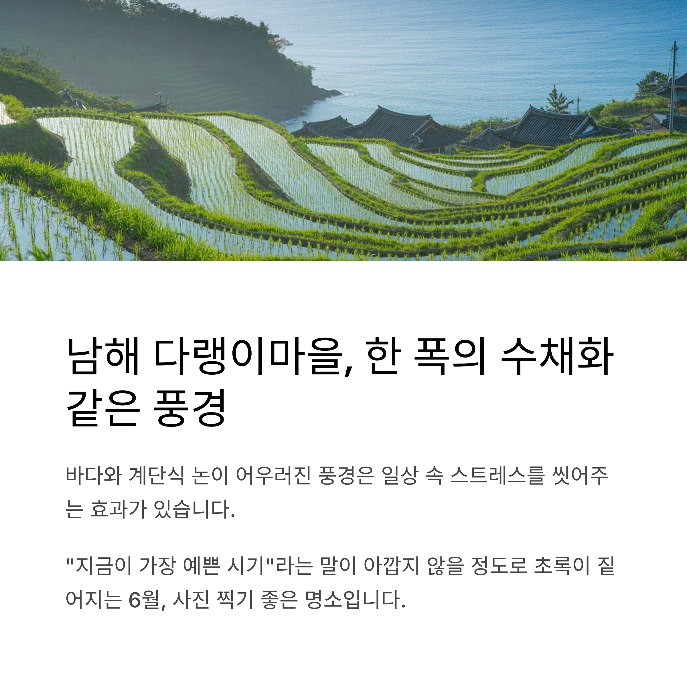 3. 남해 다랭이마을, 계단식 논이 그리는 예술