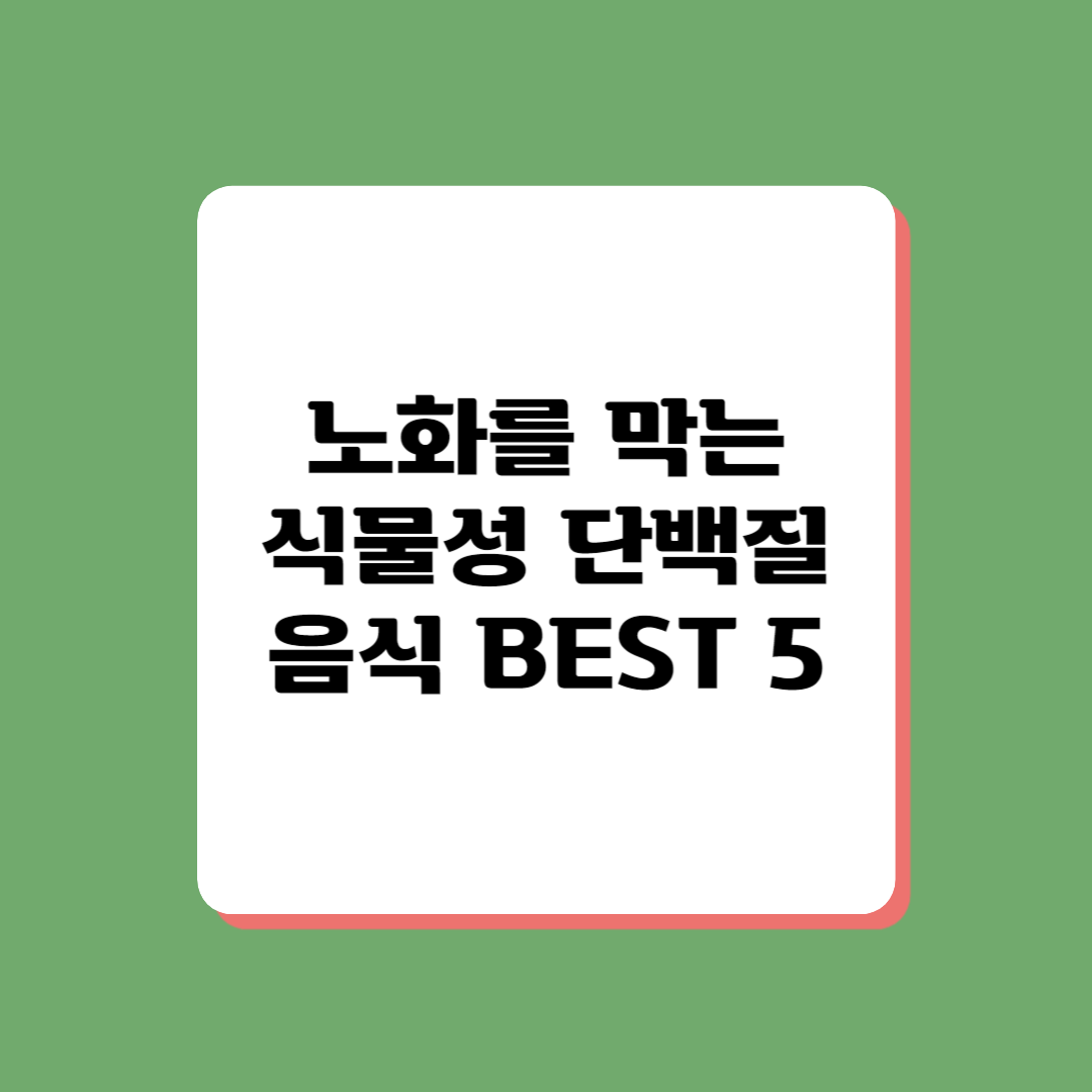 식물성 단백질의 효능