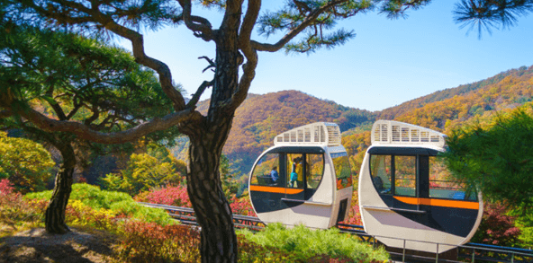 단풍여행 단풍트레킹 당일버스 여행