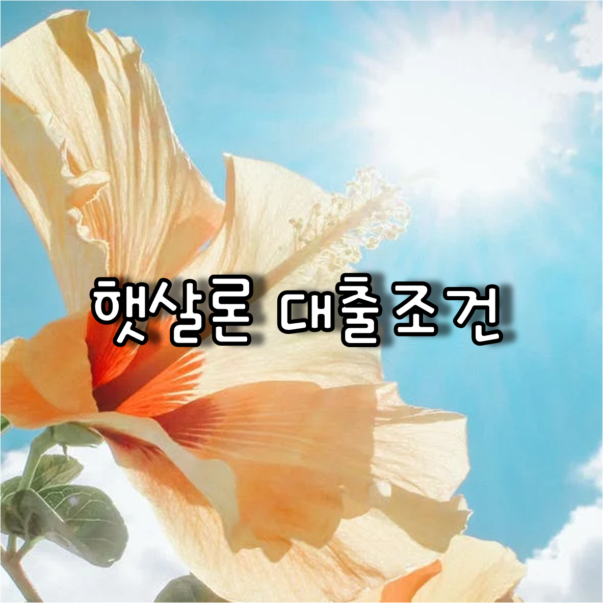 햇살론 대출조건